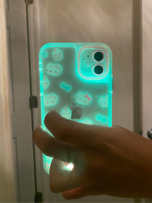Led junk case