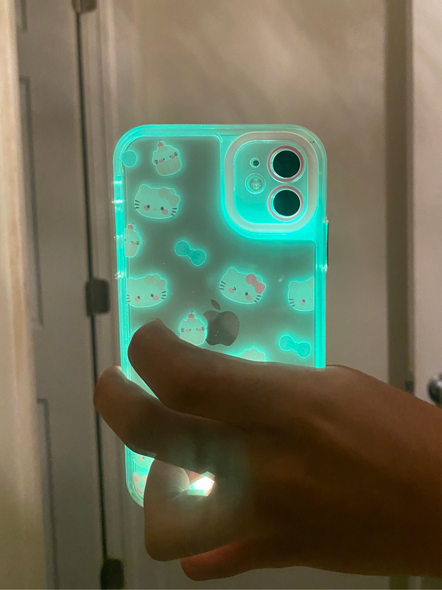 Led junk case