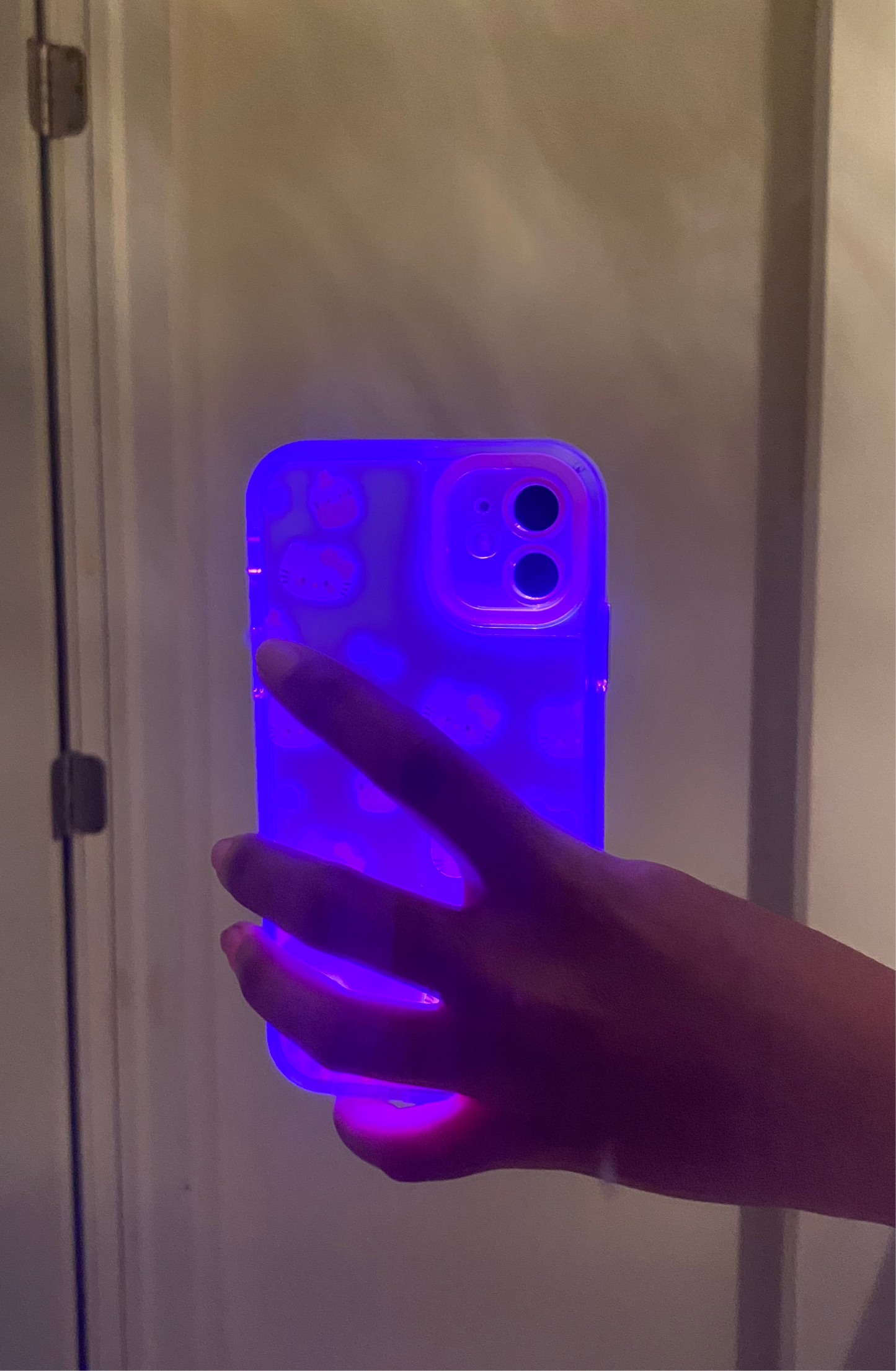 Led junk case